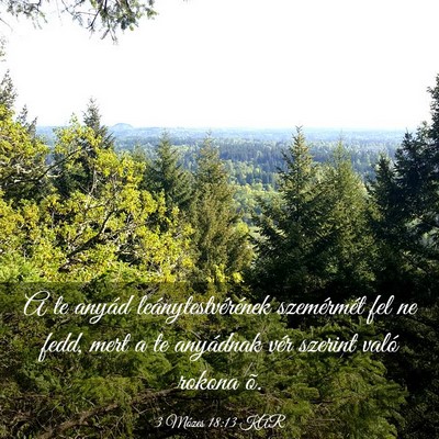 Picture 03 - 3 Mózes 18:13 KAR - A te anyád leánytestvérének szemérmét fel - Bible Verse Picture