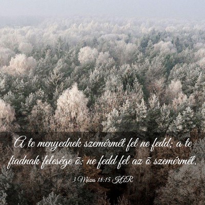 Picture 03 - 3 Mózes 18:15 KAR - A te menyednek szemérmét fel ne fedd; a te - Bible Verse Picture