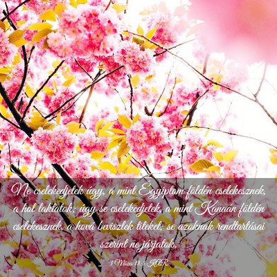 Picture 03 - 3 Mózes 18:3 KAR - Ne cselekedjetek úgy, a mint Égyiptom földén - Bible Verse Picture
