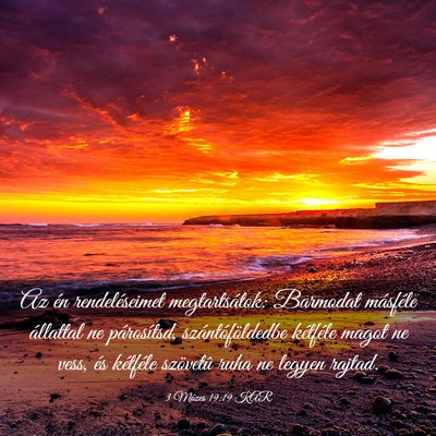 Picture 03 - 3 Mózes 19:19 KAR - Az én rendeléseimet megtartsátok: Barmodat - Bible Verse Picture
