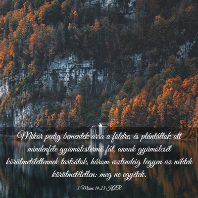 Picture 03 - 3 Mózes 19:23 KAR - Mikor pedig bementek arra a földre, és - Bible Verse Picture