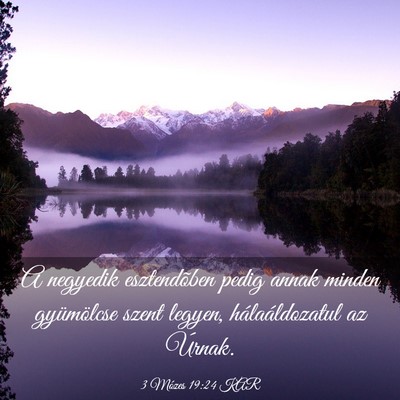 Picture 03 - 3 Mózes 19:24 KAR - A negyedik esztendõben pedig annak minden - Bible Verse Picture
