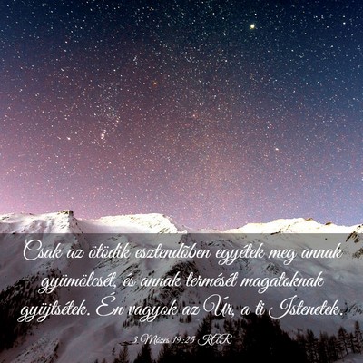 Picture 03 - 3 Mózes 19:25 KAR - Csak az ötödik esztendõben egyétek meg annak - Bible Verse Picture