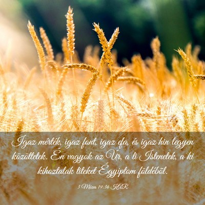 Picture 03 - 3 Mózes 19:36 KAR - Igaz mérték, igaz font, igaz efa, és igaz hin - Bible Verse Picture