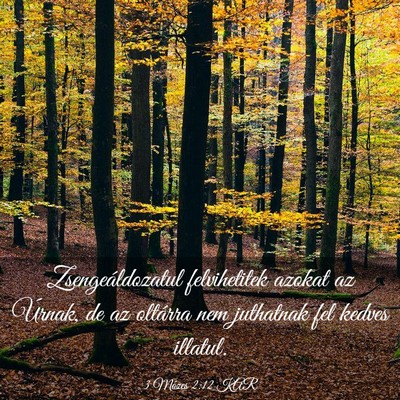 Picture 03 - 3 Mózes 2:12 KAR - Zsengeáldozatul felvihetitek azokat az Úrnak, - Bible Verse Picture