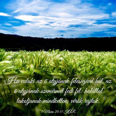 Picture 03 - 3 Mózes 20:11 KAR - Ha valaki az õ atyjának feleségével hál, az - Bible Verse Picture