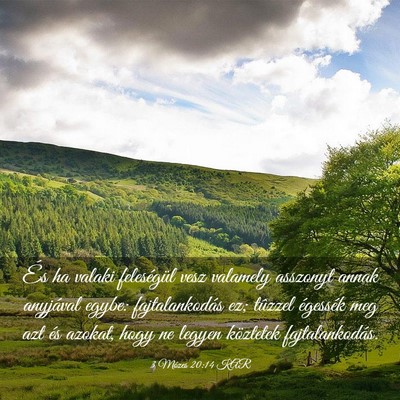 Picture 03 - 3 Mózes 20:14 KAR - És ha valaki feleségül vesz valamely asszonyt - Bible Verse Picture