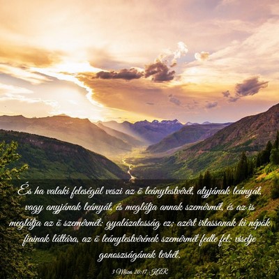 Picture 03 - 3 Mózes 20:17 KAR - És ha valaki feleségül veszi az õ - Bible Verse Picture