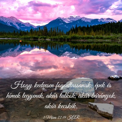Picture 03 - 3 Mózes 22:19 KAR - Hogy kedvesen fogadtassanak: épek és hímek - Bible Verse Picture