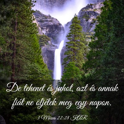 Picture 03 - 3 Mózes 22:28 KAR - De tehenet és juhot, azt és annak fiát ne - Bible Verse Picture