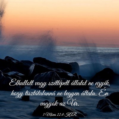 Picture 03 - 3 Mózes 22:8 KAR - Elhullott vagy széttépett állatot ne egyék, - Bible Verse Picture