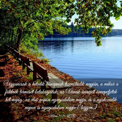 Picture 03 - 3 Mózes 23:39 KAR - Ugyancsak a hetedik hónapnak tizenötödik - Bible Verse Picture