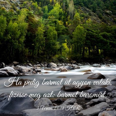 Picture 03 - 3 Mózes 24:18 KAR - Ha pedig barmot üt agyon valaki, fizesse meg - Bible Verse Picture