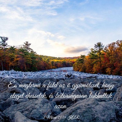 Picture 03 - 3 Mózes 25:19 KAR - És megtermi a föld az õ gyümölcsét, hogy - Bible Verse Picture