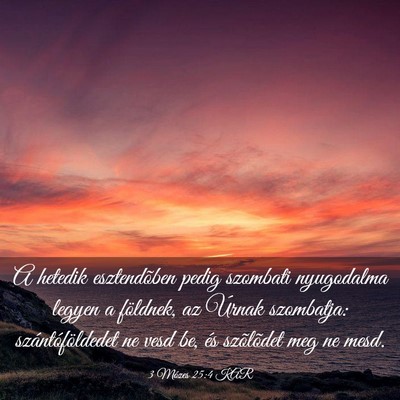 Picture 03 - 3 Mózes 25:4 KAR - A hetedik esztendõben pedig szombati nyugodalma - Bible Verse Picture