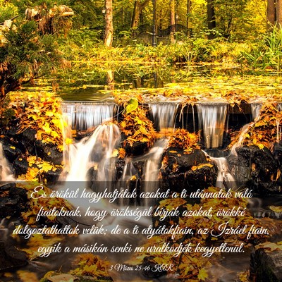 Picture 03 - 3 Mózes 25:46 KAR - És örökül hagyhatjátok azokat a ti - Bible Verse Picture