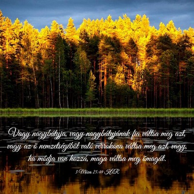 Picture 03 - 3 Mózes 25:49 KAR - Vagy nagybátyja, vagy nagybátyjának fia - Bible Verse Picture