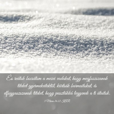 Picture 03 - 3 Mózes 26:22 KAR - És reátok bocsátom a mezei vadakat, hogy - Bible Verse Picture