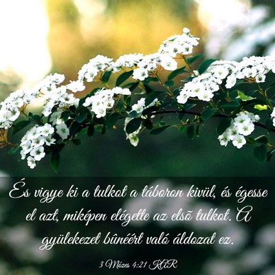 Picture 03 - 3 Mózes 4:21 KAR - És vigye ki a tulkot a táboron kivül, és - Bible Verse Picture