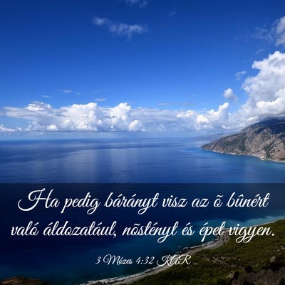 Picture 03 - 3 Mózes 4:32 KAR - Ha pedig bárányt visz az õ bûnért való - Bible Verse Picture