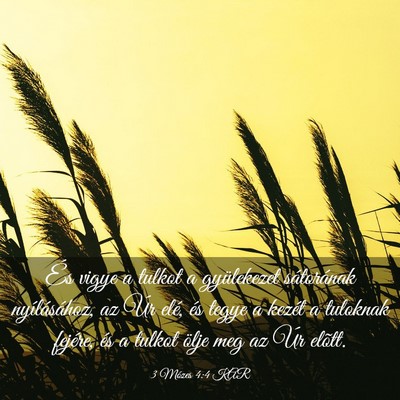 Picture 03 - 3 Mózes 4:4 KAR - És vigye a tulkot a gyülekezet sátorának - Bible Verse Picture