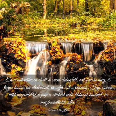 Picture 03 - 3 Mózes 5:16 KAR - És a mit vétkesen elvett a szent dologból, azt - Bible Verse Picture