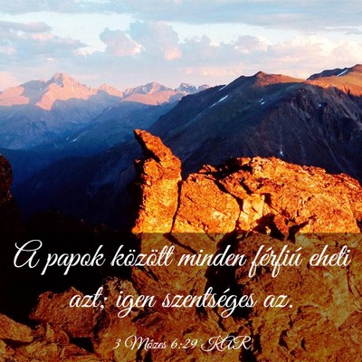 Picture 03 - 3 Mózes 6:29 KAR - A papok között minden férfiú eheti azt; igen - Bible Verse Picture