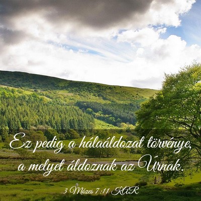 Picture 03 - 3 Mózes 7:11 KAR - Ez pedig a hálaáldozat törvénye, a melyet - Bible Verse Picture