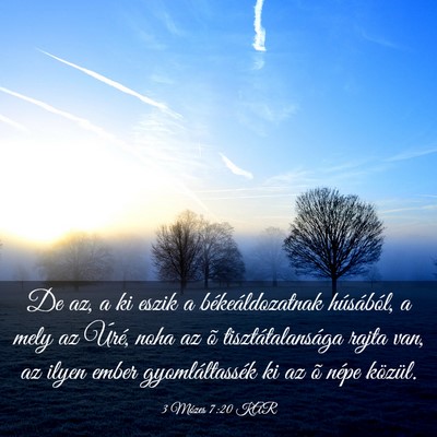 Picture 03 - 3 Mózes 7:20 KAR - De az, a ki eszik a békeáldozatnak húsából, - Bible Verse Picture