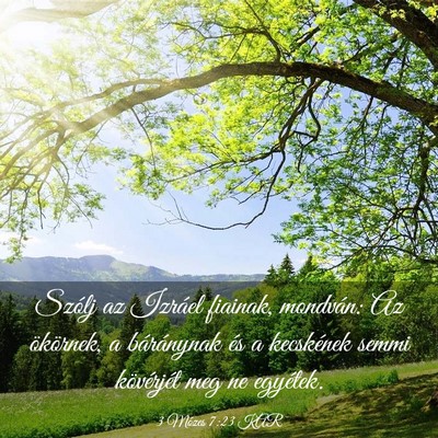 Picture 03 - 3 Mózes 7:23 KAR - Szólj az Izráel fiainak, mondván: Az - Bible Verse Picture
