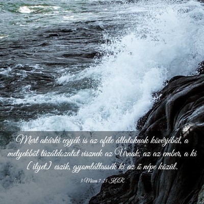 Picture 03 - 3 Mózes 7:25 KAR - Mert akárki egyék is az aféle állatoknak - Bible Verse Picture