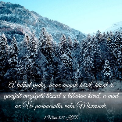Picture 03 - 3 Mózes 8:17 KAR - A tulkot pedig, azaz annak bõrét, húsát és - Bible Verse Picture