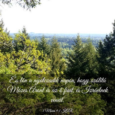 Picture 03 - 3 Mózes 9:1 KAR - És lõn a nyolczadik napon, hogy szólítá - Bible Verse Picture