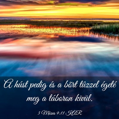 Picture 03 - 3 Mózes 9:11 KAR - A húst pedig és a bõrt tûzzel égeté meg a - Bible Verse Picture