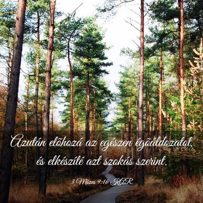 Picture 03 - 3 Mózes 9:16 KAR - Azután elõhozá az egészen égõáldozatot, - Bible Verse Picture