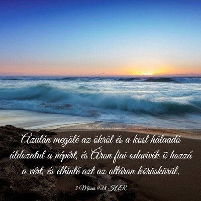 Picture 03 - 3 Mózes 9:18 KAR - Azután megölé az ökröt és a kost hálaadó - Bible Verse Picture