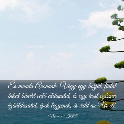 Picture 03 - 3 Mózes 9:2 KAR - És monda Áronnak: Végy egy borjút, fiatal - Bible Verse Picture