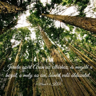 Picture 03 - 3 Mózes 9:8 KAR - Járula azért Áron az oltárhoz, és megölé a - Bible Verse Picture