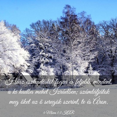 Picture 03 - 4 Mózes 1:3 KAR - Húsz esztendõstõl fogva és feljebb, mindent, - Bible Verse Picture