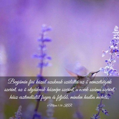 Picture 03 - 4 Mózes 1:36 KAR - Benjámin fiai közül azoknak szülöttei az õ - Bible Verse Picture