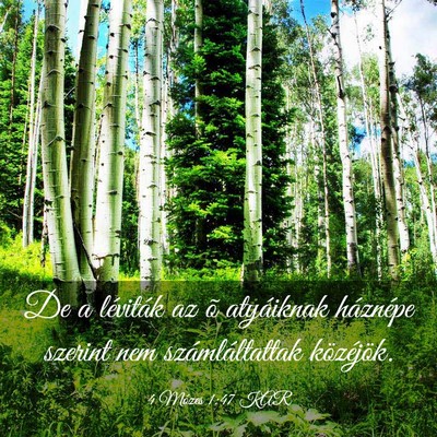 Picture 03 - 4 Mózes 1:47 KAR - De a léviták az õ atyáiknak háznépe szerint - Bible Verse Picture