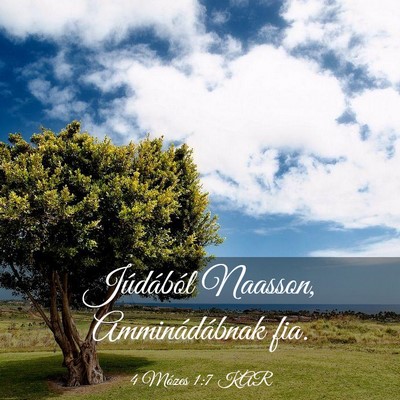 Picture 03 - 4 Mózes 1:7 KAR - Júdából Naasson, Amminádábnak - Bible Verse Picture