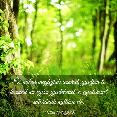 Picture 03 - 4 Mózes 10:3 KAR - És mikor megfújják azokat, gyüljön te - Bible Verse Picture