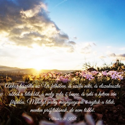 Picture 03 - 4 Mózes 11:25 KAR - Akkor leszálla az Úr felhõben, és szóla - Bible Verse Picture