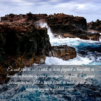 Picture 03 - 4 Mózes 11:31 KAR - És szél jöve ki az Úrtól, és hoza fürjeket - Bible Verse Picture