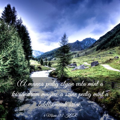 Picture 03 - 4 Mózes 11:7 KAR - (A manna pedig olyan vala mint a kóriándrum - Bible Verse Picture