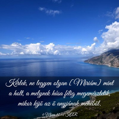 Picture 03 - 4 Mózes 12:12 KAR - Kérlek, ne legyen olyan [Miriám] mint a holt, a - Bible Verse Picture
