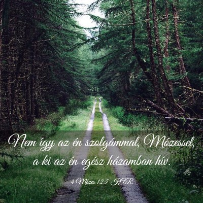 Picture 03 - 4 Mózes 12:7 KAR - Nem így az én szolgámmal, Mózessel, a ki az - Bible Verse Picture