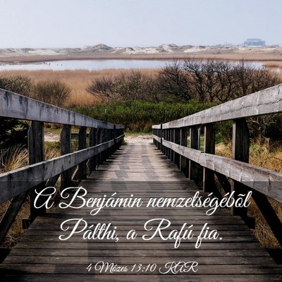 Picture 03 - 4 Mózes 13:10 KAR - A Benjámin nemzetségébõl Pálthi, a Rafú - Bible Verse Picture