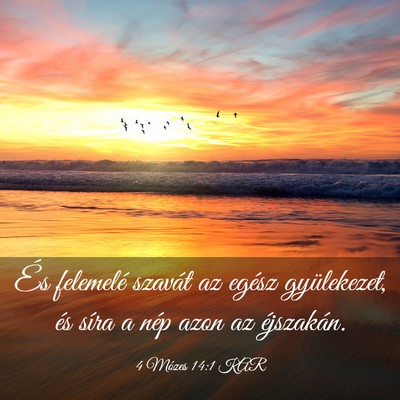 Picture 03 - 4 Mózes 14:1 KAR - És felemelé szavát az egész gyülekezet, és - Bible Verse Picture